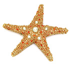 2007, SHIMMERING STARFISH