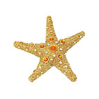 2007, SHIMMERING STARFISH