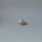 1985, White Linen, ANGEL WING SHELL BOX