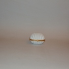 1985, White Linen, ARK SHELL