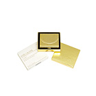 1993, GOLDEN ENVELOPE COMPACT